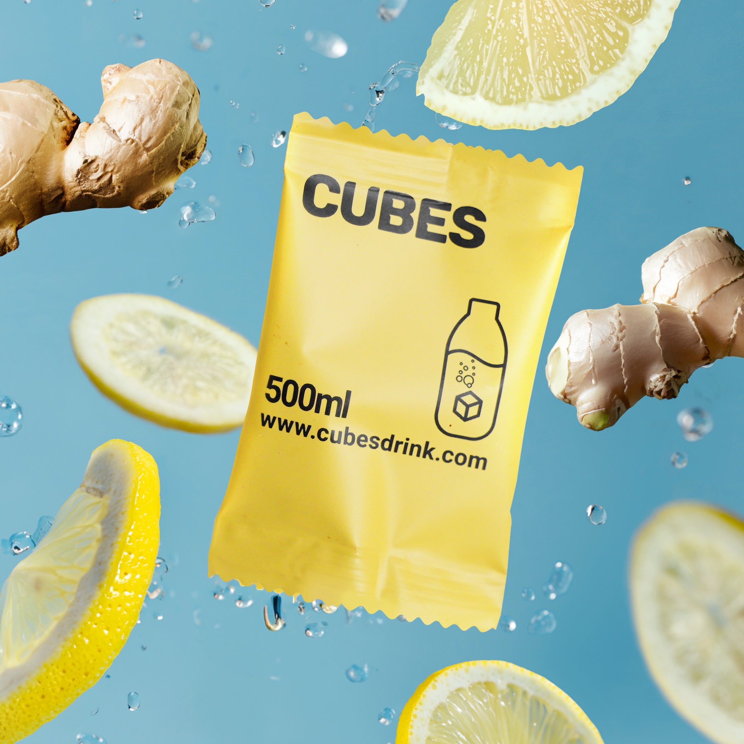 Citrus & Ginger (20 pack)